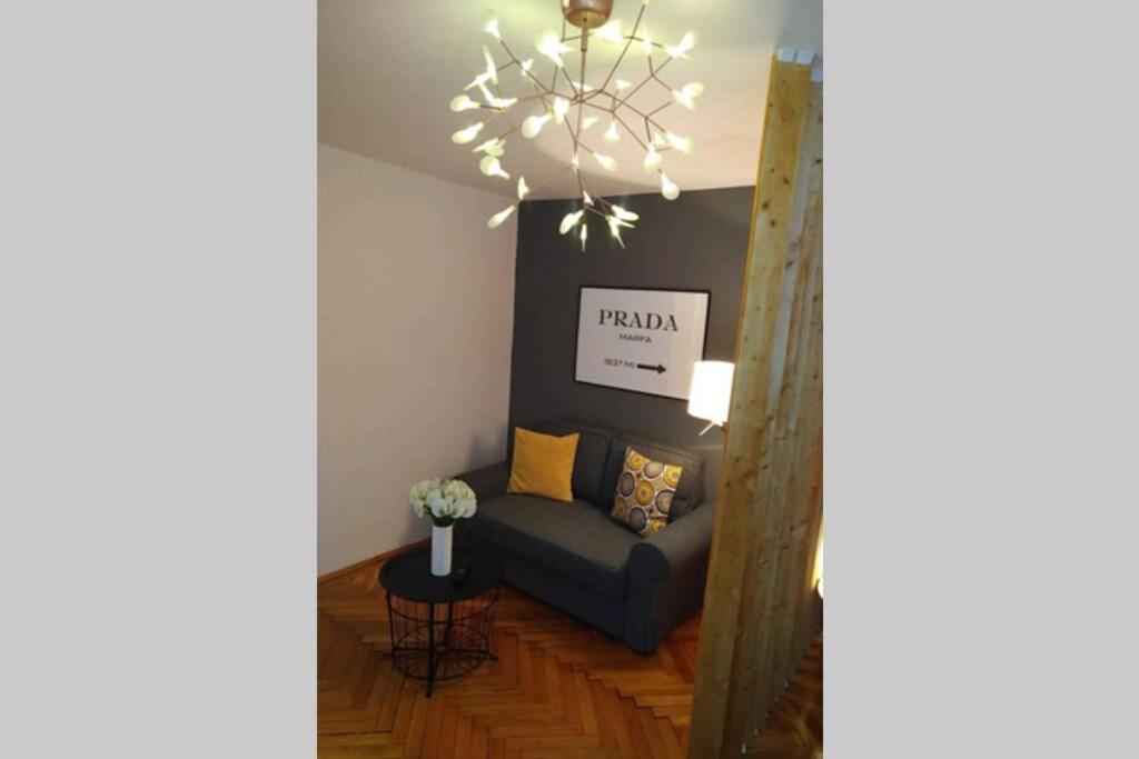 Art & Design Apt - City Center 티미쇼아라 외부 사진