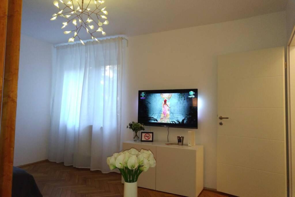 Art & Design Apt - City Center 티미쇼아라 외부 사진