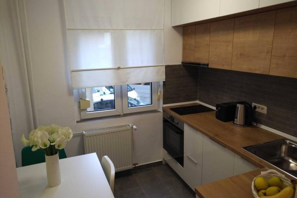 Art & Design Apt - City Center 티미쇼아라 외부 사진
